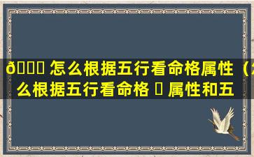 🐛 怎么根据五行看命格属性（怎么根据五行看命格 ☘ 属性和五行）